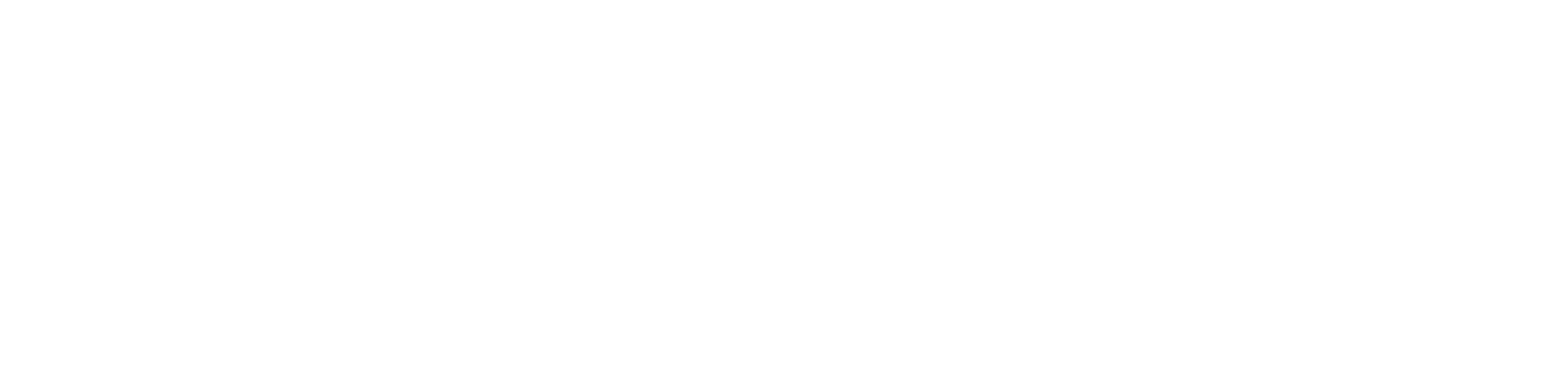Partner 2 Logo